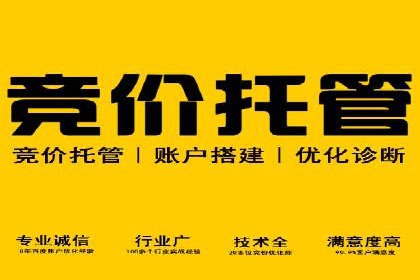 某某sem代运营公司成功案例：提高转化率